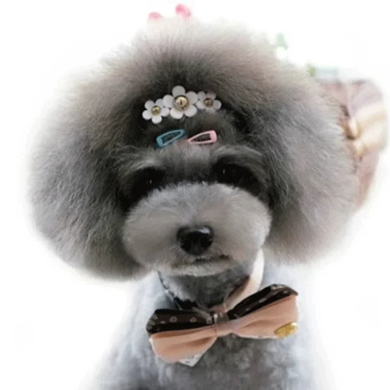 5pc/set Korean Mini 2cm Colorf - огляд і ціна Vintage Fashion Dolls